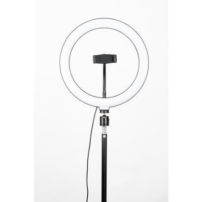 tripode-havit-st7012-pro-con-anillo-de-luz