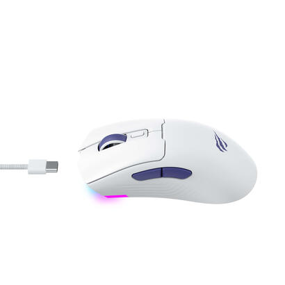 raton-inalambrico-havit-ms966wb