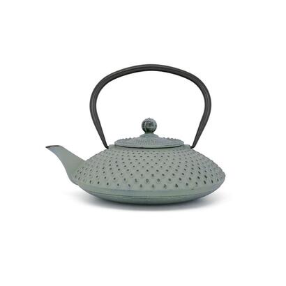 bredemeijer-teapot-xilin-125l-cast-iron-light-green-153090