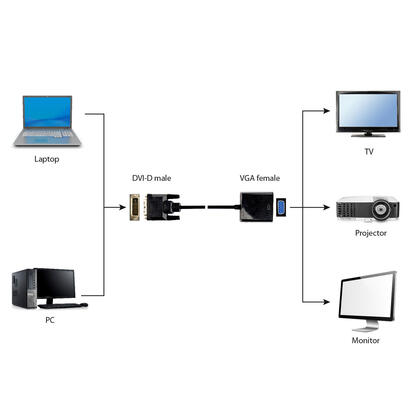 gembird-adaptador-dvi-d-a-vga-d-sub-negro-a-dvid-vgaf-01