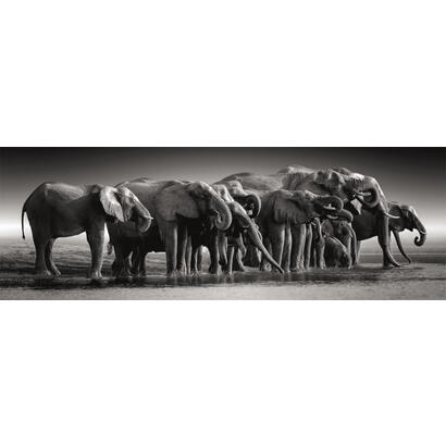 puzzle-panorama-herd-of-giants-high-quality-1000pzs
