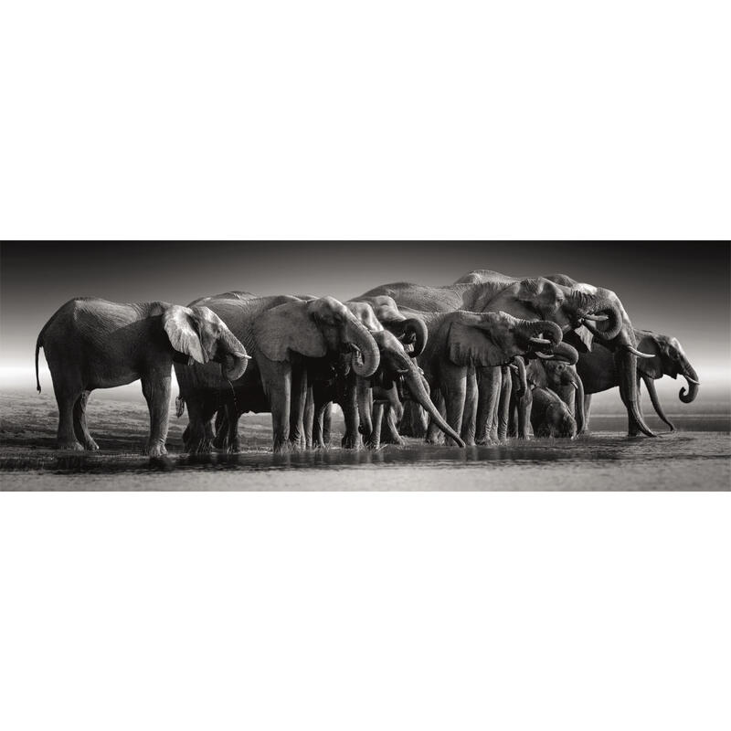 puzzle-panorama-herd-of-giants-high-quality-1000pzs