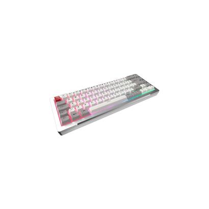 raijintek-mga-68-teclado-para-juegos-plateado-disposicion-de-hejin-magnetic-yellow-0r40b00276