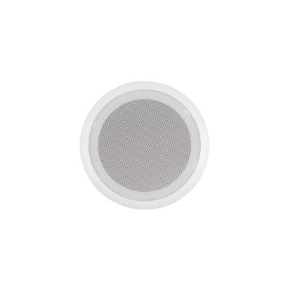ceiling-speaker-cf0207166009