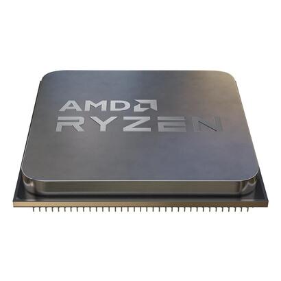procesador-amd-ryzen-5-9600-cache-tray