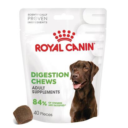 royal-canin-supplements-dog-digestion-adult-vitaminas-para-perros-160g