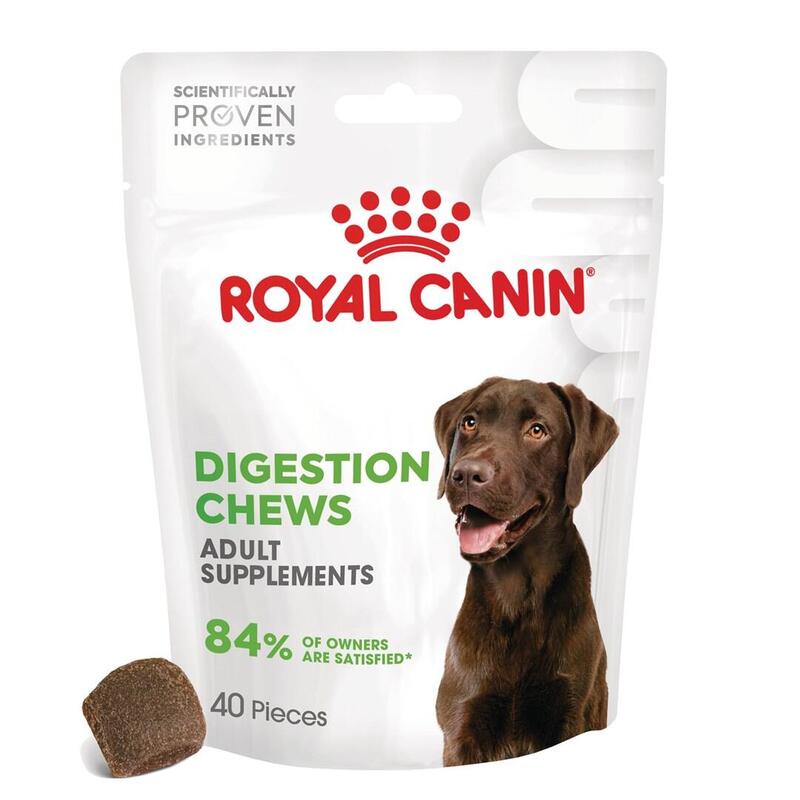 royal-canin-supplements-dog-digestion-adult-vitaminas-para-perros-160g