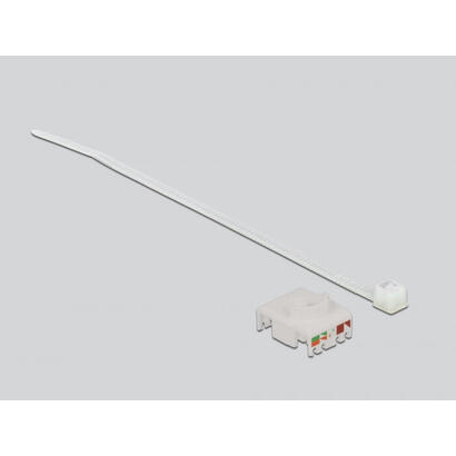 delock-cableverbinder-rj45-hchse-cat6a-lsa-rojo-wasserfem