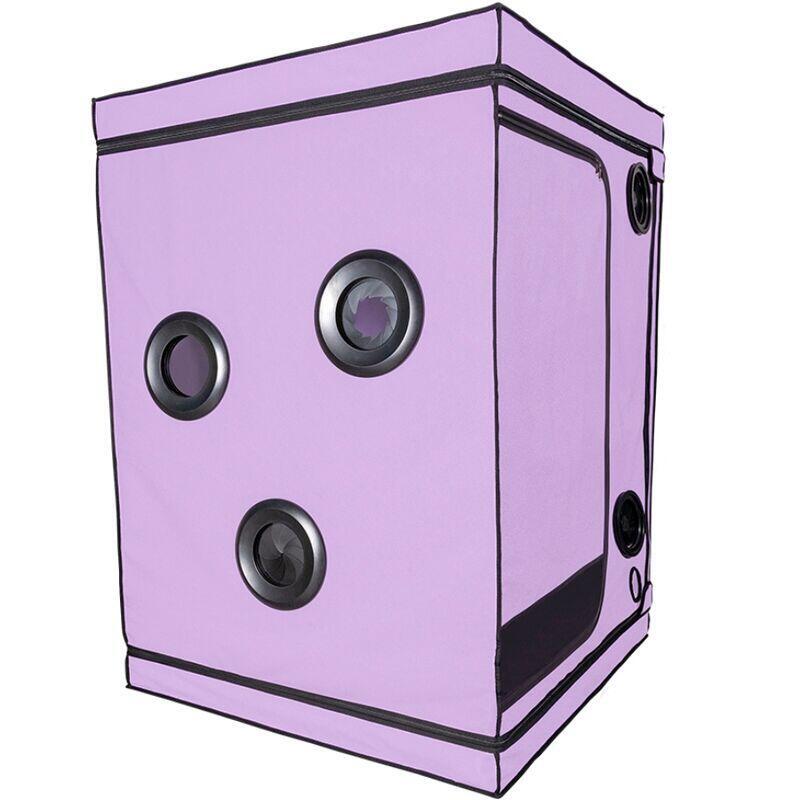 secret-dome-kink-club-cabina-scandale-morado