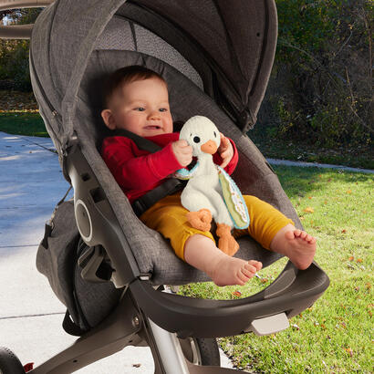 schmusegans-de-fisher-price-juguete-tierno-hrb16