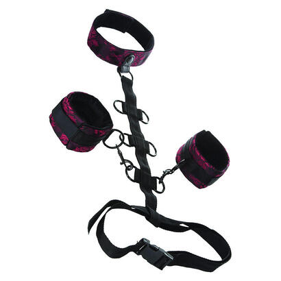 calexotics-scandal-sujecion-comporal-con-cuello
