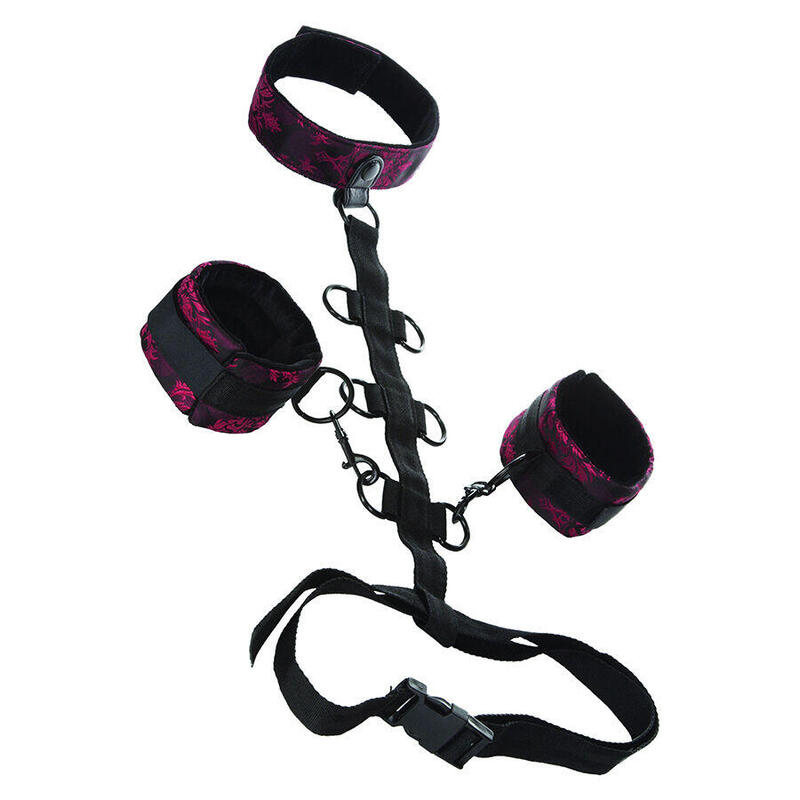 calexotics-scandal-sujecion-comporal-con-cuello