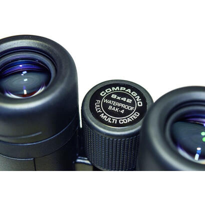 braun-compagno-8x42-wp