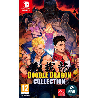 juego-double-dragon-collect-switch