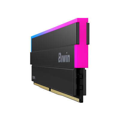 memoria-biwin-ddr5-dw100-6000mhz-2x16gb-cl30-negra