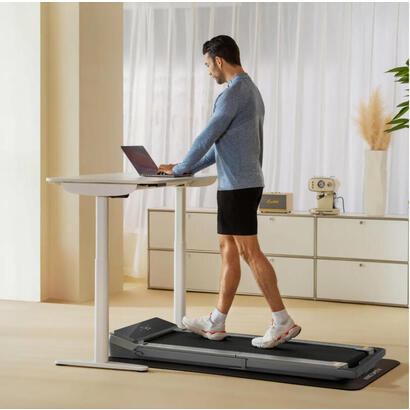 kingsmith-z3-walk-walking-device-10-hp-1-6kmh