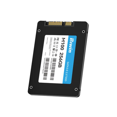 biwin-m100-ssd-256gb-25-sata3
