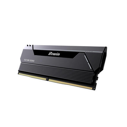 memoria-biwin-hx100-ddr5-6000-32gb-cl30-162-black-hynix