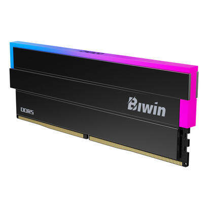 memoria-biwin-dw100-ddr5-6000-64gb-cl30-162-black-hynix