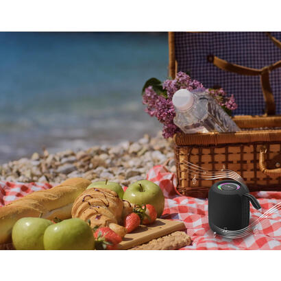 portable-speaker-gembird-black-portablewireless-bluetooth-spk-bt-led-05-bk