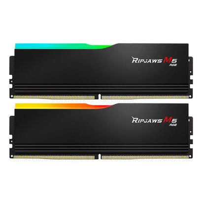 memoria-gskill96-ddr5-gb-6000-2x-48-gb-f5-6000j3036f48gx2-rm5rk