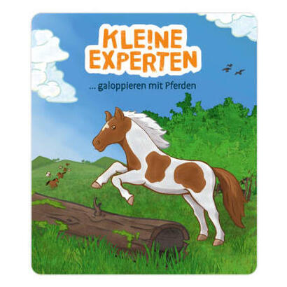 tonies-klene-experten-galoppieren-mit-pferden