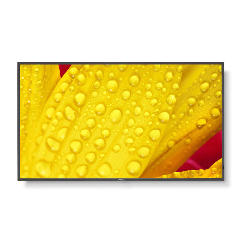 multisync-m551-2-lfd