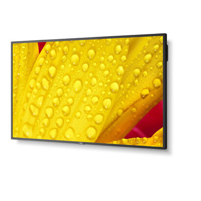 multisync-m551-2-lfd