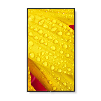 multisync-m551-2-lfd
