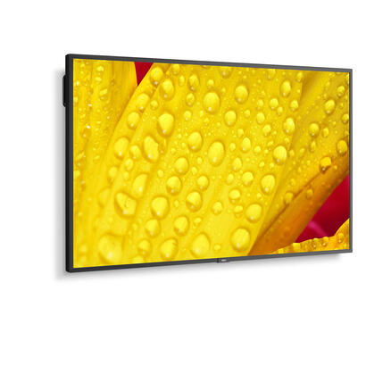 multisync-m551-2-lfd
