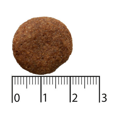 bozita-9117390-comida-seca-para-perros-25-kg-adulto-ternera-salmon