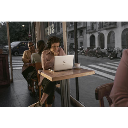 hp-elitebook-865-g11-r5-8540u-syst