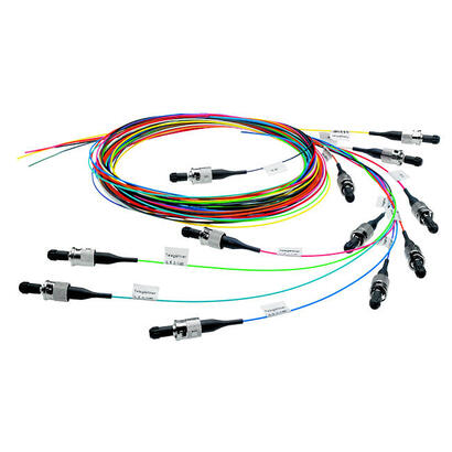 cable-telegartner-100011719-de-fibra-optica-e-infiniband-2-m-12x-lc-multicolor