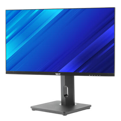 iggual-monitor-24-fhd-pivotante-ajustable-altura