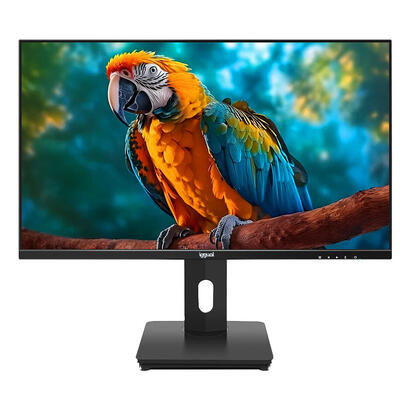 iggual-monitor-24-fhd-pivotante-ajustable-altura
