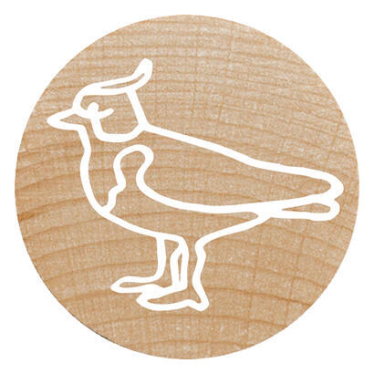 colop-woodies-mempel-set-exotic-animation-retail