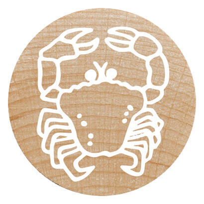 colop-woodies-mempel-set-exotic-animation-retail