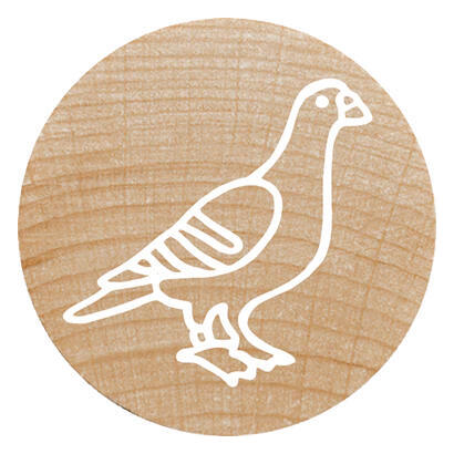 colop-woodies-mempel-set-exotic-animation-retail