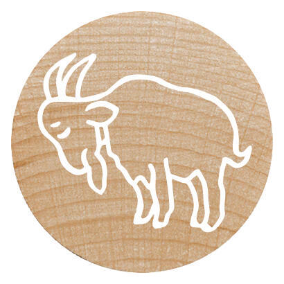 colop-woodies-mempel-set-farm-animation-retail