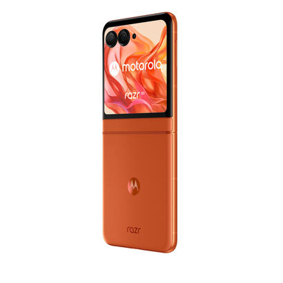 smartphone-motorola-moto-razr-50-8g256gb-arabesque