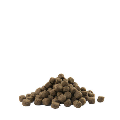 versele-laga-adult-digestion-medium-maxi-125-kg-adult-animal