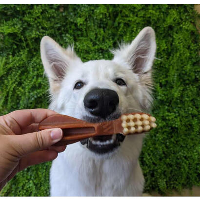 whimzees-dientes-masticables-para-perros-xs-48-piezas