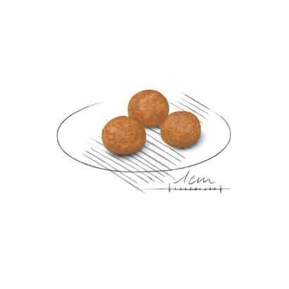 alimento-seco-para-perros-royal-canin-adult-x-small-shn-3kg