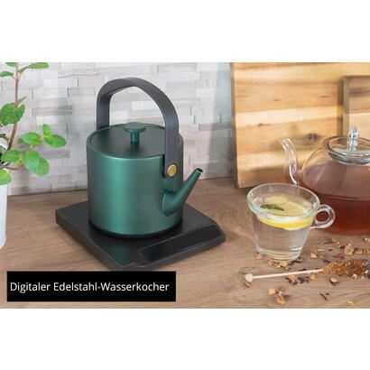 tetera-unold-18217-blitzkocher-jade-electrica-06-l-800-w-verde