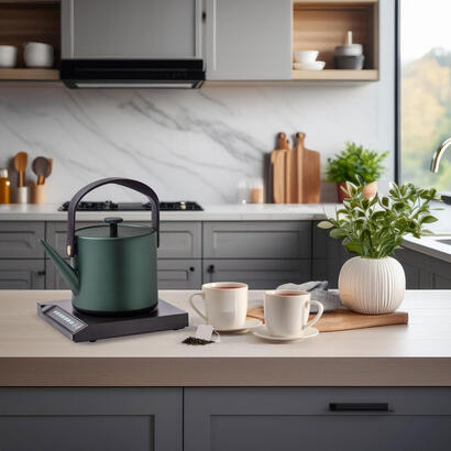 tetera-unold-18217-blitzkocher-jade-electrica-06-l-800-w-verde