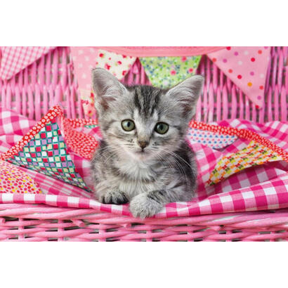puzzle-schmidt-juega-a-mis-bebes-mascotas-favoritas-56361