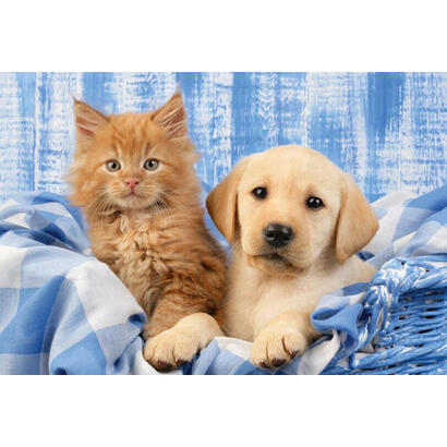 puzzle-schmidt-juega-a-mis-bebes-mascotas-favoritas-56361