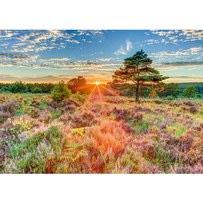 puzzle-schmidt-games-heath-en-el-atardecer-59768-1000-piezas