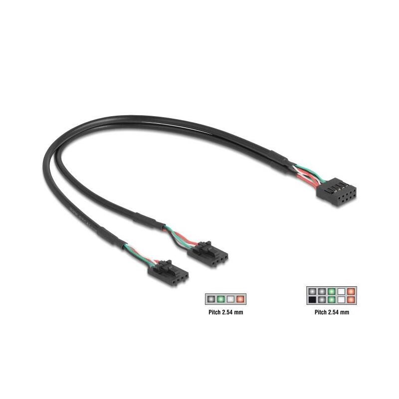 delock-cable-usb-20-pfostenhembra-254-mm-10-pin-a-2-x-usb-20