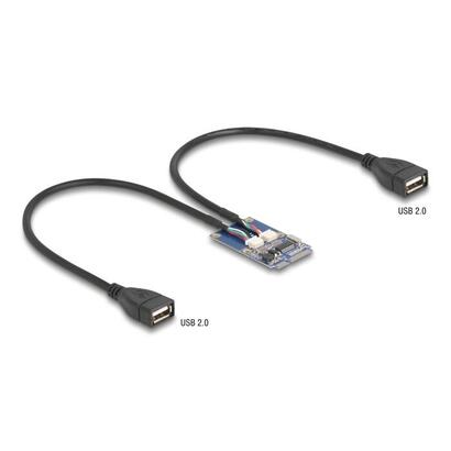 delock-mini-pcie-adaptador-full-size-a-2-x-usb-20-typ-a-hembra-30-cm